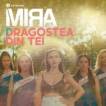 album image Dragostea Din Tei Dragostea din tei - Single