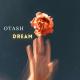 Sting - Desert Rose (OTASH Remix)