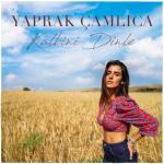 album image Kalbini Dinle Kalbini Dinle - Single