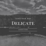 album image Delicate Delicate - Single