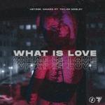 album image What Is Love What Is Love - Single