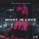 Heyder & Navaro & Taylor Mosley - What Is Love (Cover 2020)