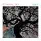 Tingvall Trio - Arabic Slow Dance