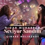 album image Seviyor Sandım Seviyor Sandım - Single