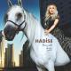 hadise - kucuk bir yol remix