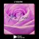 naBBoo & Gon Haziri feat. Miceal - Hurt You (Todd Haze Remix)