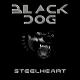 Steelheart - Black Dog (Led Zeppelin cover)