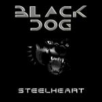 album image Black Dog (LZ cover) BLACK DOG - Single