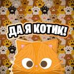 album image симбачка толька НОРМ ТАК БАСУХА ВСТАВЛЯЕТ) Да Я Котик