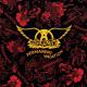 Aerosmith - Dude (Looks Like A Lady) - Live