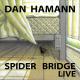 Dan Hamann - Ka'anapali (Live)