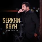 album image Yaradanım Yaradanım - Single