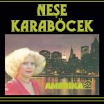 album image Masallah Amerika 2