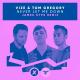 VIZE, Tom Gregory - Never Let Me Down