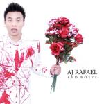 album image we could happen Red Roses