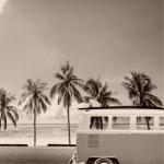 album image California Dreamin' California Dreamin' - Single