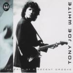 album image I Want to Be with You The Path of a Decent Groove