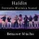 Haidin - Besame mucho