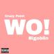 Crazy Point feat. Bigoblin - Wo
