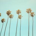 album image California Dreaming California Dreaming - Single
