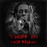 album image She Will (Remix) Thief in the Night - EP
