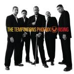 album image Stay Phoenix Rising