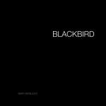album image Blackbird Blackbird - Single