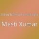 Ashiq Namiq Ferhadoqlu - Mesti Xumar