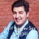 Vasif Agayev Saz - Ay Dili