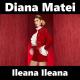 Diana Matei - Ileana ileana