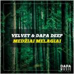 album image Medžiai Melagiai Medžiai Melagiai - Single