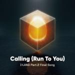 album image Calling (Run to you) Calling (Run To You) - Single