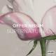 Offer Nissim feat. Nasrin Kadri - Hubby