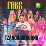 album image Fake Fake - Single
