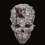 album image Perk Nosebleed
