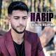 Habip - De Were Dılemın