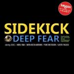 album image Fly Deep Fear (The Remixes)
