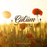 album image Gulum