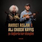album image Şu Dağlarda Kar Olsaydım Şu Dağlarda Kar Olsaydım - Single