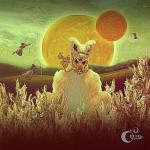 album image House of Circles Madness In Miniature
