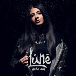 album image gebe auf. gebe auf. - Single