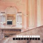 album image About Today Cherry Tree