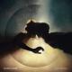 Savoir Adore - Dreamers