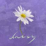 album image Daisy WE:TH - EP