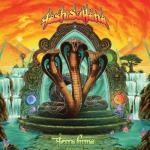 album image Coma Terra Firma