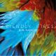 Blue Casette (Tiga Remix) - Friendly Fires
