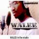 Walee The Dai' - We at War(Harb) by Walee The Dai'
