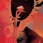 album image Watch Out (Intro) Beautiful Havoc