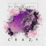 album image Dj Goja - Crazy Crazy - Single