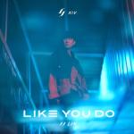 album image Bedroom (feat. Anne-Marie) Like You Do
